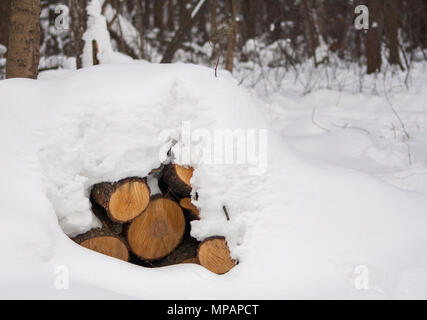 In der Nähe von Pile der schneebedeckten Holz Protokolle unter einer dicken Schneedecke Stockfoto