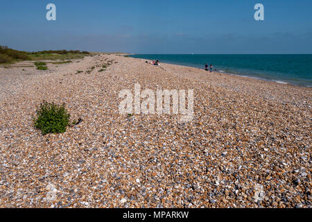 Climping Beach in der Nähe von Petworth, West Sussex, UK. Stockfoto