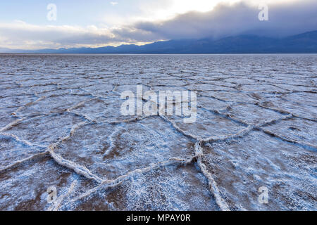 Salzkrusten - eine Feder am Abend Blick auf salzkrusten, in interessanten Formen und Mustern, die Erweiterung auf riesigen Salinen am Death Valley National Park. Stockfoto