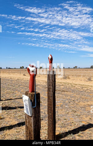 Telefon kunst Eintropfen im ländlichen Australien, Wiedergeltingen, Western Australia Stockfoto