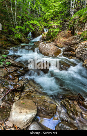 Ungestüme torrent unter Sandstein Findlinge im Monti della Laga. Abruzzen Stockfoto