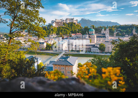 Classic Panorama Aussicht auf die Altstadt von Salzburg, ein UNESCO-Weltkulturerbe, an einem sonnigen Tag mit blauen Himmel bei Sonnenuntergang im Sommer, Österreich, Europa Stockfoto