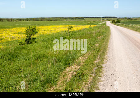 Unbefestigte Straße, Kreuzung Kreide Grünland auf Salisbury Plain, in der Nähe der Larkhill, Wiltshire, England, Großbritannien Stockfoto