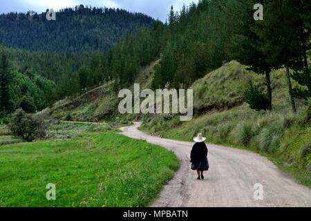 GRANJA PORCON-evangelischen Kooperativen - Departement Cajamarca PERU Stockfoto