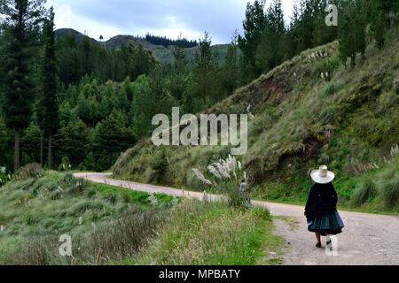 GRANJA PORCON-evangelischen Kooperativen - Departement Cajamarca PERU Stockfoto