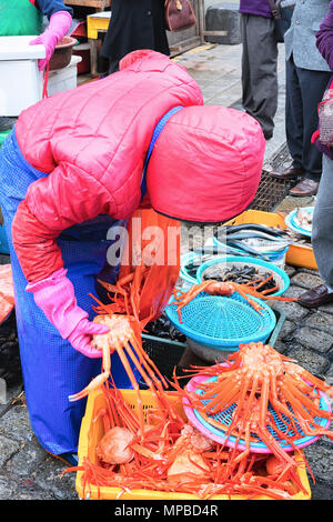 Verkäufer von Krabben in der Straße Fischmarkt Jagalchi in Busan, Südkorea Stockfoto