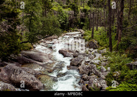 Wunderschöne Tal mit dichten Wäldern und kleinen Berg River durch die Felsbrocken in der Tatra in der Slowakei fließt. Schönheit der wilde unberührte Natur von Menschen. Stockfoto