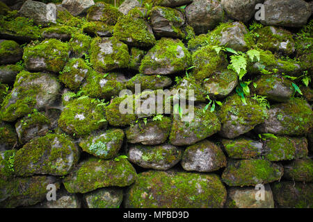 Massive Felsbrocken bedeckt durch das grüne Moos und Kletterpflanzen. Natürliche Maurerarbeit. Geometrische Verzierung. Perfekter Hintergrund für verschiedene Arten von Collagen und Illustrationen. Stockfoto