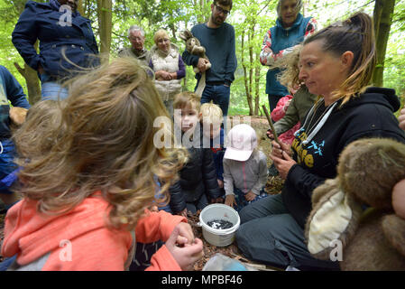 Kinder in einem Wald Schule - Natur Tots, im Friston Wald, East Sussex. Stockfoto