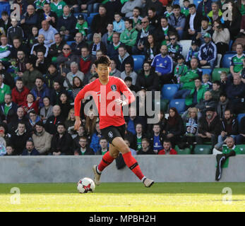 24. März 2018. Internationaler Fußball-freundliches 2018, Nordirland gegen Südkorea im Windsor Park, Belfast. (7) Heung-Min Sohn Südkorea. Stockfoto