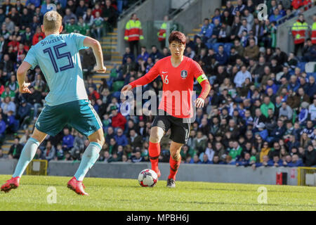 24. März 2018. Internationaler Fußball-freundliches 2018, Nordirland gegen Südkorea im Windsor Park, Belfast. (16) Ki Sung-yueng Südkorea. Stockfoto