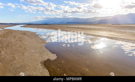 Feder Salt Creek - eine Feder am Abend Blick auf einer breiten, aber flachen Salt Creek fließt auf Salt Flats an der Basis der Panamint Range. Death Valley National Park. Stockfoto