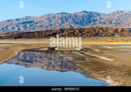 Spring Creek - schroffe Berge von Amargosa Range im Frühjahr Salz Bäche widerspiegelt. Death Valley National Park, Kalifornien, USA. Stockfoto