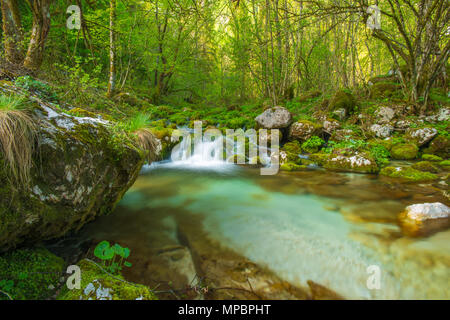 Idyllischen, einsamen Teich Formen auf der Basis von einigen kleinen Wasserfällen. Nebel und Spray schafft magische Kaskaden auf einem kleinen Bach in der üppigen Feder Woods. Stockfoto