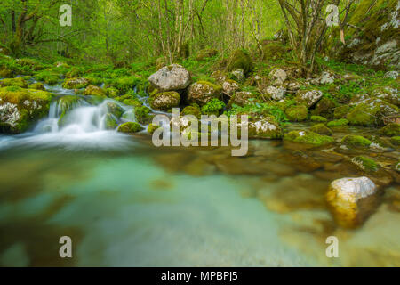 Idyllischen, einsamen Teich Formen auf der Basis von einigen kleinen Wasserfällen. Nebel und Spray schafft magische Kaskaden auf einem kleinen Bach in der üppigen Feder Woods. Stockfoto