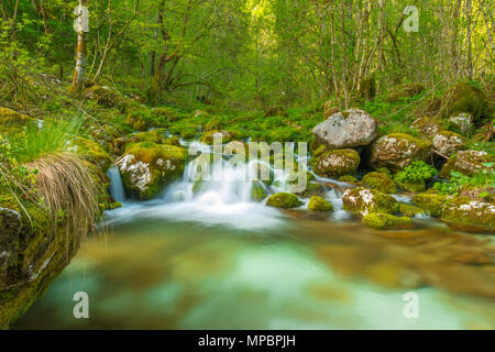 Idyllischen, einsamen Teich Formen auf der Basis von einigen kleinen Wasserfällen. Nebel und Spray schafft magische Kaskaden auf einem kleinen Bach in der üppigen Feder Woods. Stockfoto