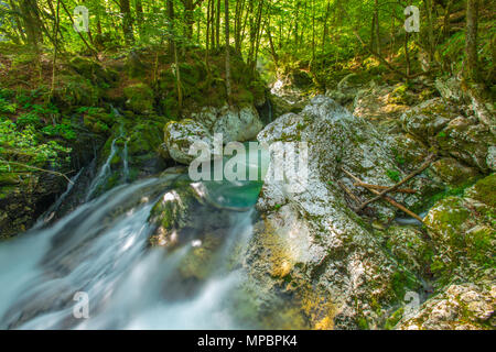 Fluss springt über Felsbrocken mit Türkis, Misty wasser Wasserfälle und Kaskaden in den Wald zu erstellen. Grüne Überdachung, Sonnenlicht, das durch Bäume. Stockfoto