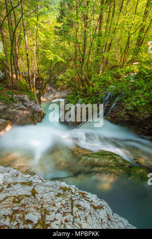Fluss springt über Felsbrocken mit Türkis, Misty wasser Wasserfälle und Kaskaden in den Wald zu erstellen. Grüne Überdachung, Sonnenlicht, das durch Bäume. Stockfoto