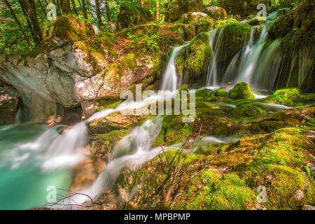 Friedliche Szene von Wasserfällen, Spray und Teich von Moos, Pflanzen, Bäumen und Vegetation umgeben. Türkisfarbenes Wasser, Grün bemoosten Felsen, langen Belichtungszeit. Stockfoto