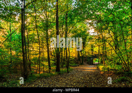 Eine Brücke an baggeridge Country Park in den West Midlands. Stockfoto