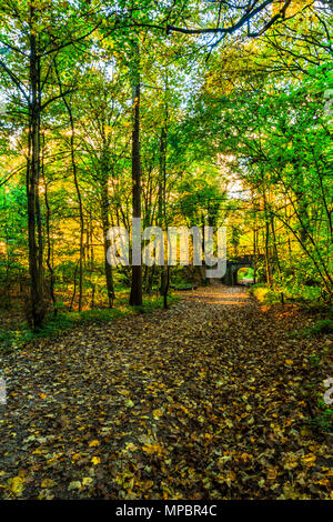 Eine Brücke an baggeridge Country Park in den West Midlands. Stockfoto