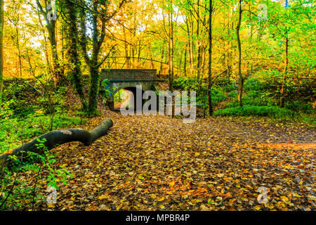 Eine Brücke an baggeridge Country Park in den West Midlands. Stockfoto