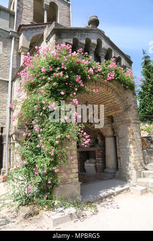 Rosa Rose Garden in der Burg von Bory. Genau dieser schönen Blume. Stockfoto