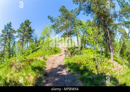 Trekkingrouten in Lillomarka in der Nähe von Oslo, Norwegen, Frühjahr, sonnigen Tag. Stockfoto