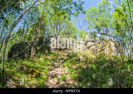 Trekkingrouten in Lillomarka in der Nähe von Oslo, Norwegen, Frühjahr, sonnigen Tag. Stockfoto