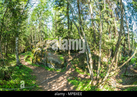 Trekkingrouten in Lillomarka in der Nähe von Oslo, Norwegen, Frühjahr, sonnigen Tag. Stockfoto