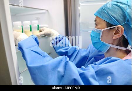 Qinhuangdao, Qinhuangdao, China. 21 Mai, 2018. Qinhuangdao, China, 21. Mai 2018: Die ersten karitativen Mütter Milch Bank eröffnet in Qinhuangdao, im Norden der chinesischen Provinz Hebei, 21. Mai 2018. Acht gutherzig Mütter gespendete Milch Die Milch Bank am ersten Tag. Credit: SIPA Asien/ZUMA Draht/Alamy leben Nachrichten Stockfoto