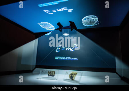 22. Mai 2018, Deutschland, Münster: zwei Glasplatten mit einem mikroskopischen Abschnitt des Hirngewebes von Albert Einstein sind in einem glas Vitrine an der Westfälischen Museum für Naturkunde angezeigt. Die Sonderausstellung "Das Gehirn - Intelligenz, Bewusstsein, Gefühl' zeigt besondere Exemplare, unter Ihnen, Teile von Albert Einsteins Gehirn. Es öffnet am 29. Juni an der Westfälischen Museum für Naturkunde. Foto: Guido Kirchner/dpa Stockfoto