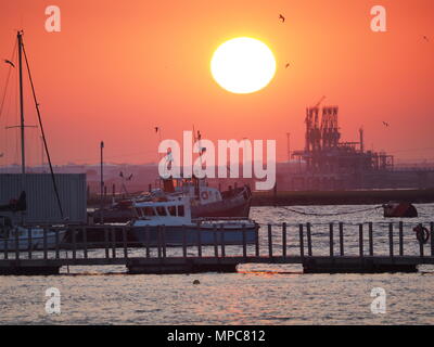 Queenborough, Kent, UK. 22. Mai, 2018. UK Wetter: Heute abend sonnenuntergang in Queenborough, Kent. Credit: James Bell/Alamy leben Nachrichten Stockfoto