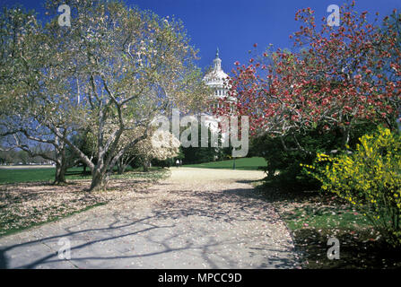 Historische Frühling 1988 BLÜTEN UNITED STATES CAPITOL CAPITOL HILL in Washington DC USA Stockfoto