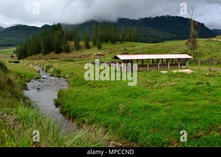 GRANJA PORCON-evangelischen Kooperativen - Departement Cajamarca PERU Stockfoto