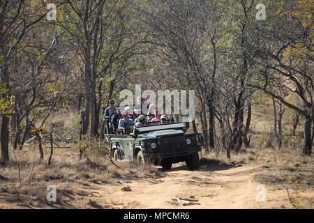 Besucher auf eine Pirschfahrt in Welgevonden Game Reserve. Welgevonden ist eine 38.200 ha finden in der Limpopo Provinz in Südafrika. Stockfoto
