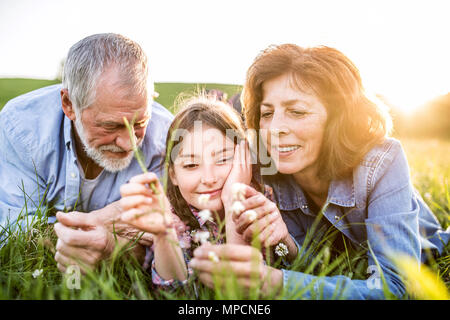 Senior Paar mit Enkelin außerhalb im Frühjahr die Natur, entspannen Sie sich auf dem Gras. Stockfoto