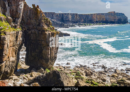 South Pembrokeshire Coast zwischen St. Govans Kapelle und St. Govans Kopf, West Wales mit einer Klippe arch im Vordergrund. Stockfoto