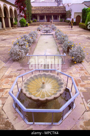 Hof. Viana-Palast, Córdoba, Andalusien, Spanien. Stockfoto