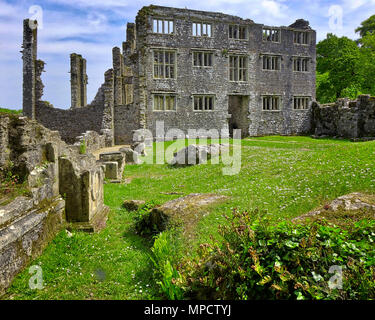 De - DEVONSHIRE: Berry Pomeroy Castle - Lord Seymour Herrenhaus aus dem 16. Jahrhundert (HDR-Bild) Stockfoto