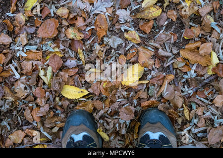 Die Füße stehen auf gefallene Blätter im Herbst in London, England, Großbritannien Stockfoto