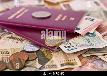 Ausländische Pässe und Geld von den Ländern Stockfoto