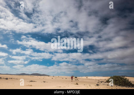 Einsamer Mann zu Fuß in den sandigen Strand von Corralejo auf Fuerteventura. Große blaue Himmel mit trockenem Klima und der natürlichen Dünen. Berge am en Stockfoto