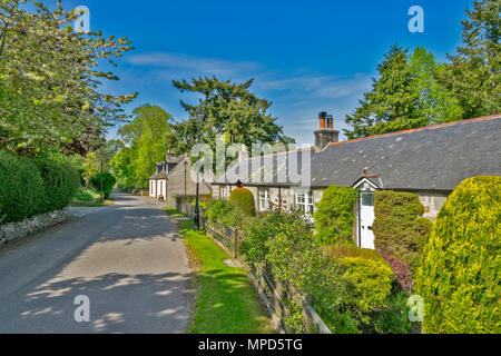 CCAWDOR HIGHLAND VILLAGE NAIRNSHIRE SCHOTTLAND REIHE VON HÜTTEN UND EIN BAUM FALLEN IN DER BLÜTE Stockfoto