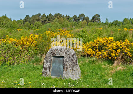 Das Schlachtfeld von Culloden ODER MOOR INVERNESS Schottland typischen Stein Memorial und Plaque, von denen sich viele um das Schlachtfeld Stockfoto