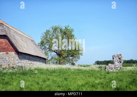 Avebury Stone Circles Stockfoto