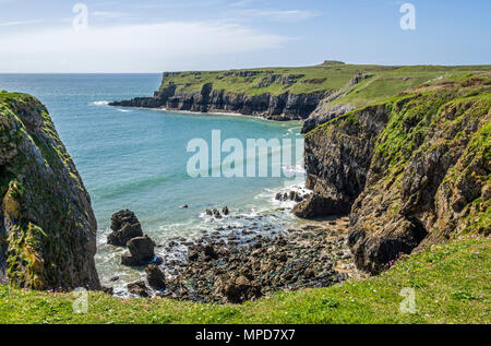 Küste zwischen Broad Haven South und St. Govans Kopf, South, West Wales Pembrokeshire. Stockfoto