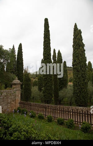 Gärten in Fontfroide Abbey in der Nähe von Narbonne, Frankreich. Fontfroide Abbey ist eine ehemalige Zisterzienserabtei in Frankreich, 15 Kilometer südwestlich von Narbonne. Es wurde im Jahre 1093 durch Aimery ich, Viscount von Narbonne, blieb aber Armen und undurchsichtig, und musste neu gegründet durch Ermengarde, Viscountess von Narbonne, gegründet. Die Abtei kämpften gemeinsam mit Papst Innozenz III. gegen die ketzerische Lehre der Katharer, die in der Region lebten. Es wurde 1791 im Zuge der Französischen Revolution aufgelöst. Die Räumlichkeiten, die von sehr großem architektonischem Interesse, in private Hände 1908, whe Stockfoto