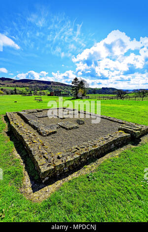 Vindolanda Fort und Museum Northumberland römische Tempel Stockfoto