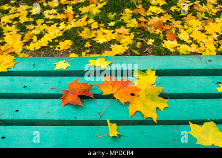 Gelbe und rote Ahornblätter auf Türkis lackiert alte Holzbank im öffentlichen Park. Herbst Tag. Herbstliche Stimmung. Kopieren Sie Platz. Stockfoto